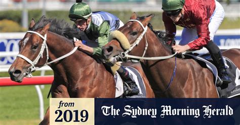 Having a flutter: Sportsbet and BetEasy in huge .